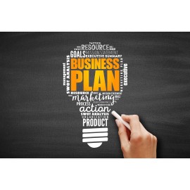 Business Plan sur-mesure